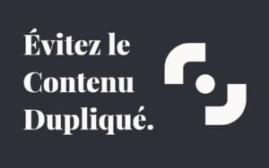 Consultant SEO à Rezé et Expert WordPress contenu dupliqué