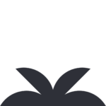 freelance wordpress france